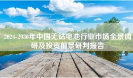 2024-2030年中国无钴电池行业市场全景调研及投资前景研判报告