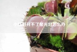 小红书开不了聚光灯怎么办