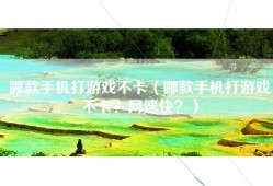 哪款手机打游戏不卡（哪款手机打游戏不卡？网速快？）