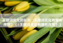 关键词优化的长处_2关键词优化有哪些作用？（2.关键词优化有哪些作用？）