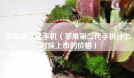 苹果第二代手机（苹果第二代手机什么时候上市的价格）