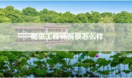 爬虫工程师前景怎么样