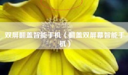 双屏翻盖智能手机（翻盖双屏幕智能手机）