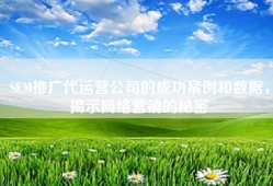 SEM推广代运营公司的成功案例和数据，揭示网络营销的秘密