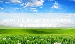 SEM推广代运营公司的成功案例和数据，揭示网络营销的秘密