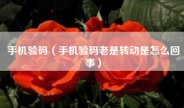 手机验码（手机验码老是转动是怎么回事）