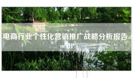电商行业个性化营销推广战略分析报告.docVIP