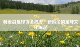 赫章县足球协会揭牌：新阶段的足球文化崛起