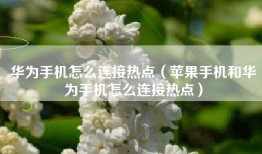 华为手机怎么连接热点（苹果手机和华为手机怎么连接热点）