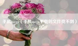 手机mega（手机mega下载的文件找不到）