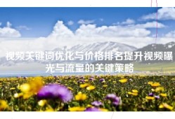 视频关键词优化与价格排名提升视频曝光与流量的关键策略