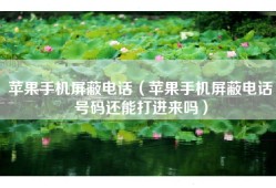 苹果手机屏蔽电话（苹果手机屏蔽电话号码还能打进来吗）