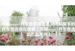 荣耀magic5开发者选项怎么关闭荣耀手机开发者选项在哪里「荣耀magic5开发者选项怎么关闭」