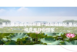 塞尔维亚成中国附庸？武契奇反驳 塞尔维亚是自由国家