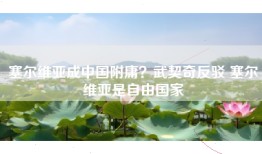 塞尔维亚成中国附庸？武契奇反驳 塞尔维亚是自由国家
