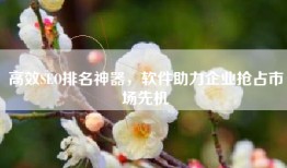 高效SEO排名神器，软件助力企业抢占市场先机
