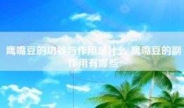 鹰嘴豆的功效与作用是什么 鹰嘴豆的副作用有哪些