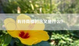 有待商榷的含义是什么？