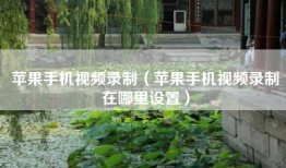 苹果手机视频录制（苹果手机视频录制在哪里设置）