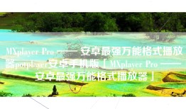 MXplayer Pro —— 安卓最强万能格式播放器potplayer安卓手机版「MXplayer Pro —— 安卓最强万能格式播放器」