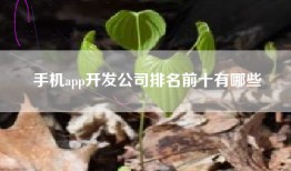 手机app开发公司排名前十有哪些