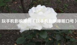 玩手机影响睡眠（玩手机影响睡眠口号）