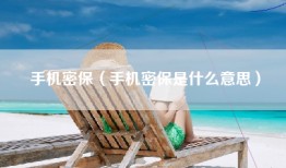 手机密保（手机密保是什么意思）