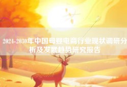 2024-2030年中国母婴电商行业现状调研分析及发展趋势研究报告
