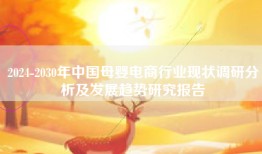 2024-2030年中国母婴电商行业现状调研分析及发展趋势研究报告