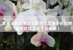 苹果手机自带音乐软件（苹果手机自带音乐软件怎么下载歌曲）