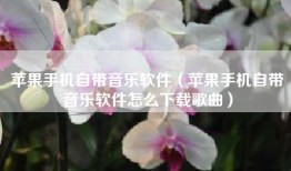苹果手机自带音乐软件（苹果手机自带音乐软件怎么下载歌曲）