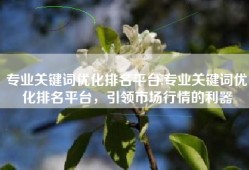 专业关键词优化排名平台,专业关键词优化排名平台，引领市场行情的利器