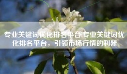 专业关键词优化排名平台,专业关键词优化排名平台，引领市场行情的利器