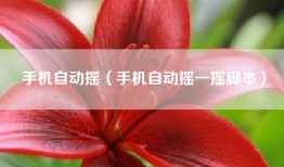 手机自动摇（手机自动摇一摇脚本）