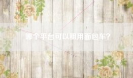 哪个平台可以租用面包车？