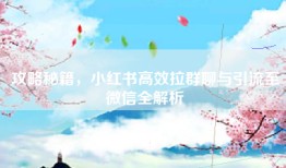攻略秘籍，小红书高效拉群聊与引流至微信全解析