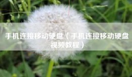 手机连接移动硬盘（手机连接移动硬盘视频教程）