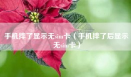手机摔了显示无sim卡（手机摔了后显示无sim卡）