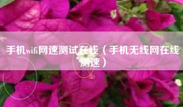 手机wifi网速测试在线（手机无线网在线测速）