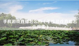 手机游戏直播怎么开（手机游戏直播怎么开麦）