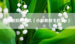 小屏拍照手机（小屏拍照手机2020）
