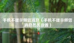 手机不提示微信消息（手机不提示微信消息怎么设置）