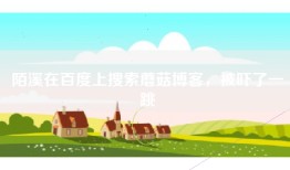 陌溪在百度上搜索蘑菇博客，被吓了一跳
