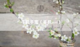 手机手蜜（手机mid）
