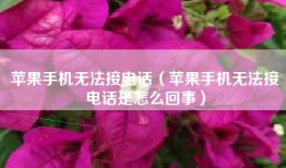 苹果手机无法接电话（苹果手机无法接电话是怎么回事）