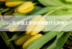 aygo在中国上市的时间是什么时候？