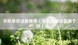 手机录音设备推荐（手机录音设备哪个好）