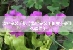 监控安装手机（监控安装手机要下载什么软件）