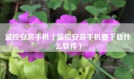 监控安装手机（监控安装手机要下载什么软件）