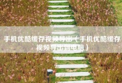 手机优酷缓存视频导出（手机优酷缓存视频导出到电脑）